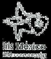 IMX IRIS MÉXICO ARTE CON CORAZÓN