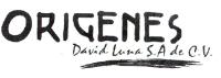 ORIGENES DAVID LUNA