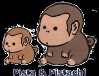 PISTA & PISTACHI
