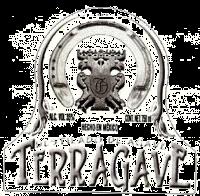 OTA TERRAGAVE