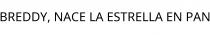 BREDDY; NACE LA ESTRELLA EN PAN