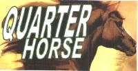 QUARTER HORSE