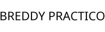 BREDDY PRACTICO