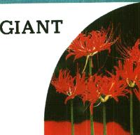 GIANT