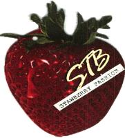 STB STRAWBERRY FASHION