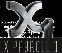 X1;X;PAYROLL;1