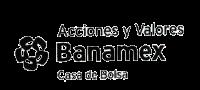 ACCIONES Y VALORES BANAMEX