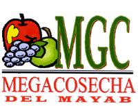 MGC MEGACOSECHA DEL MAYAB