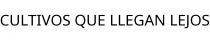 CULTIVOS QUE LLEGAN LEJOS