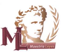 ML MAESTRÍA LEYES