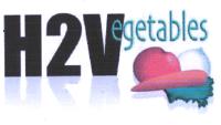 H2VEGETABLES