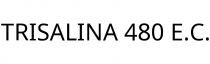TRISALINA 480 E.C.