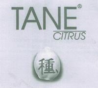 TANE CITRUS