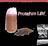 PROTEHM LIFE MEDICINA ORTOMOLECULAR IONIZADA