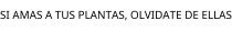 SI AMAS A TUS PLANTAS; OLVIDATE DE ELLAS
