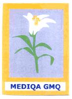 MEDIQA GMQ