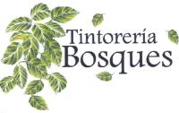 TINTORERIA BOSQUES