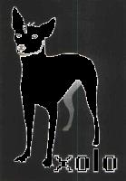 XOLO
