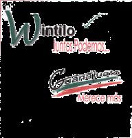 GUANAJUATO MERECE MÁS WINTILO JUNTOS PODEMOS