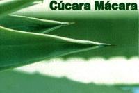 CÚCARA MÁCARA