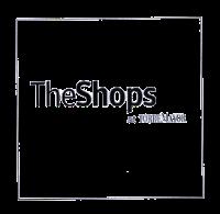 THE SHOPS AT TORRE MAYOR