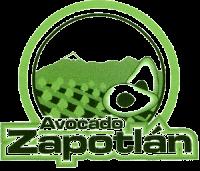 AVOCADO ZAPOTLÁN