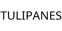 TULIPANES