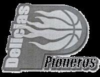DELICIAS PIONEROS
