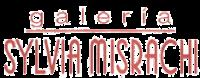 GALERIA SYLVIA MISRACHI
