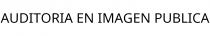 AUDITORIA EN IMAGEN PUBLICA
