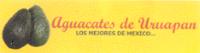 AGUACATES DE URUAPAN LOS MEJORES DE MEXICO