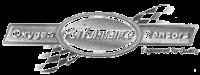 PERFORMANCE OXYGEN SENSORS