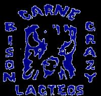 BISON CRAZY