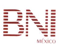 BNI MÉXICO