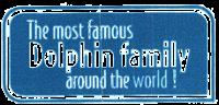 THE MOST FAMOUS DOLPHIN FAMILY AROUND THE WORLD!