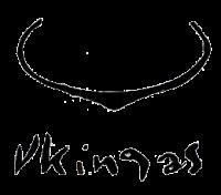 VKINGAS