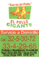 EL POLLO GIGANTE