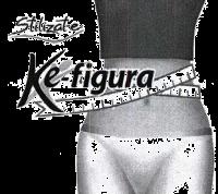 STILIZAT-E KE-FIGURA