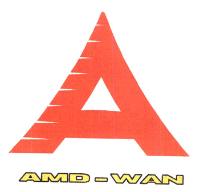 A; AMD - WAN