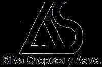 SILVA OROPEZA Y ASOC.
