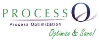 PROCESS O PROCESS OPTIMIZATION