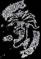 FRITURAS ZAN-YE-NI