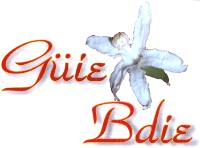 GÜIE BDIE