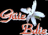 GÜIE BDIE
