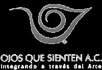 OJOS QUE SIENTEN A.C. INTEGRANDO A TRAVÉS DEL ARTE