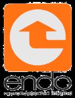 ENDO MERCADOTECNIA INTERNA