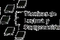 TÉCNICAS DE LECTURA Y COMPRENSION