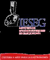 IESEG INSTITUTO DE ESTUDIOS SUPERIORES EN GASTRONOMIA