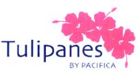 TULIPANES BY PACIFICA