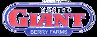 GIANT BERRY FARMS